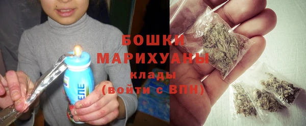скорость Ладушкин