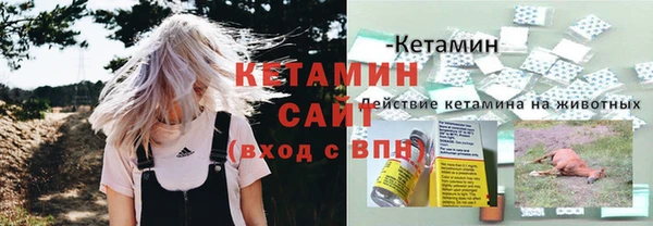 дживик Лагань