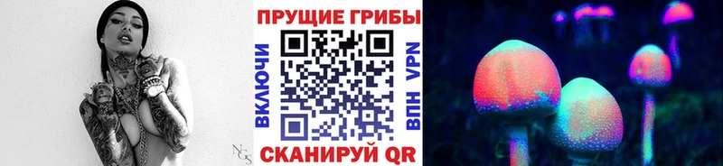 Псилоцибиновые грибы GOLDEN TEACHER  где купить наркотик  Тотьма 